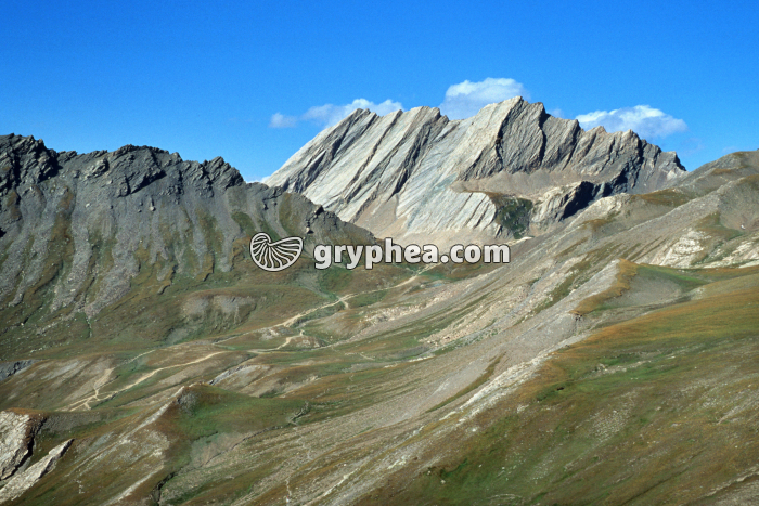Nappe des schistes lustrés (Queyras) - gryphea.com